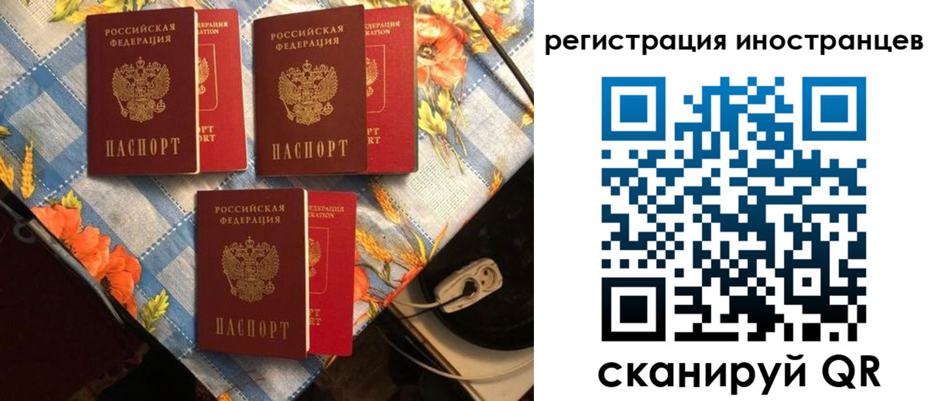 прописка поиск в Дмитрове